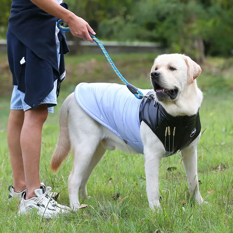 Waterproof Jacket