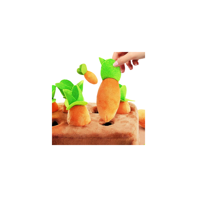 Carrot play