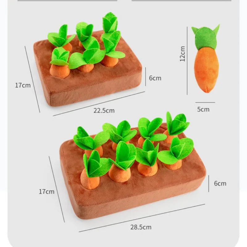 Carrot play